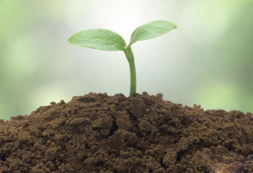 江门市土壤重金属检测 种植土壤有机质检测中心