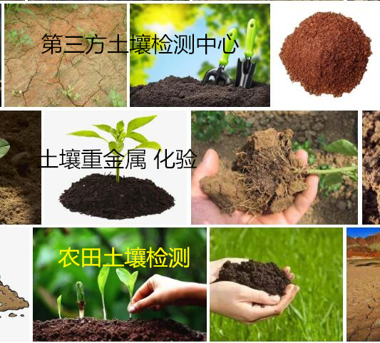 珠海市种植土壤检测 常规重金属化验中心