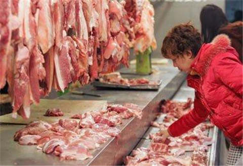 珠海肉制品检测瘦肉精含量检测安全质量检测单位