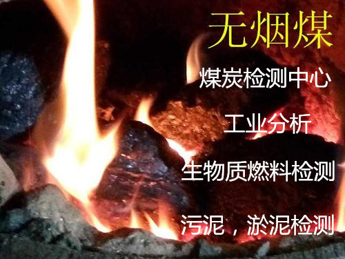 衡阳市生物质燃料热值检测 灰分化验机构