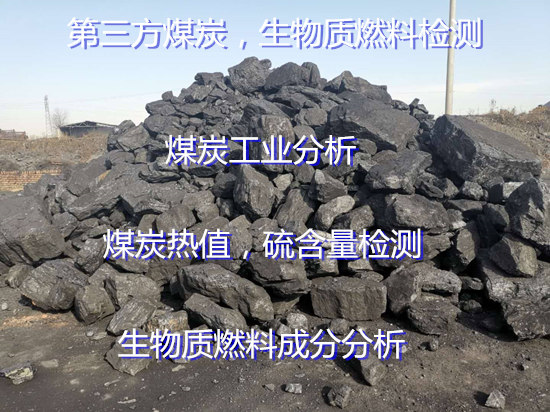 广东第三方炭材检测中心 煤炭工业分析单位