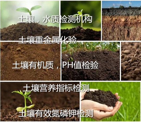 广州市土壤重金属化验 农田土壤检测中心