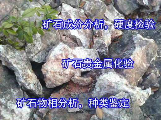 广西南宁矿石贵金属元素化验 矿石物相分析中心