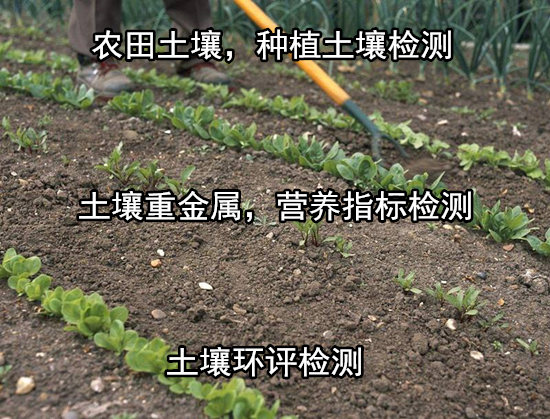 广州花都土壤有机质检验 农田土壤检测出具CMA报告
