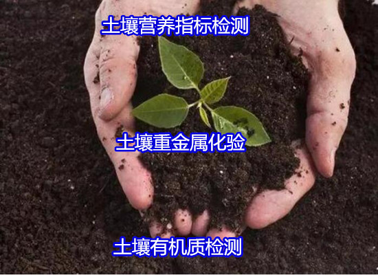 广西省土壤营养指标检测 PH值测试部门