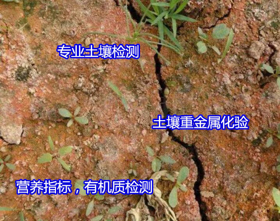 深圳宝安土壤营养指标检测 PH值测试部门