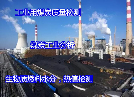 深圳市煤炭热值检测 煤灰成分分析可出CMA报告