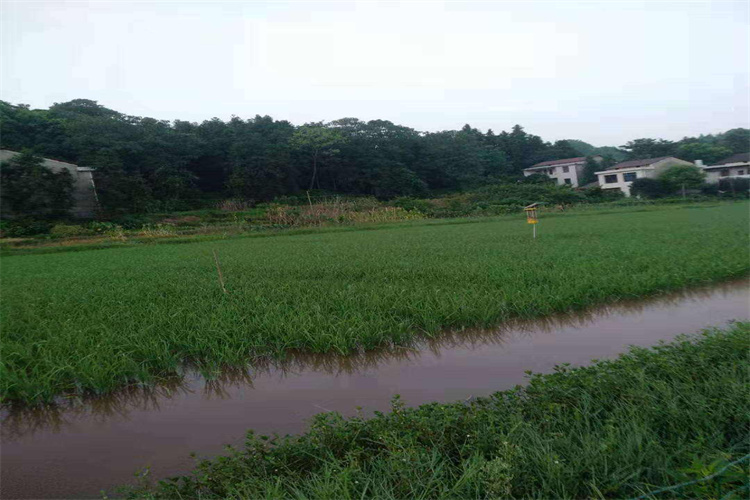 广东省种植土壤检测、土壤有机质检测权威中心