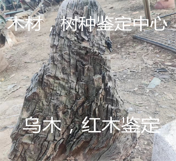 红酸枝木材质鉴定 红木家具树种检测