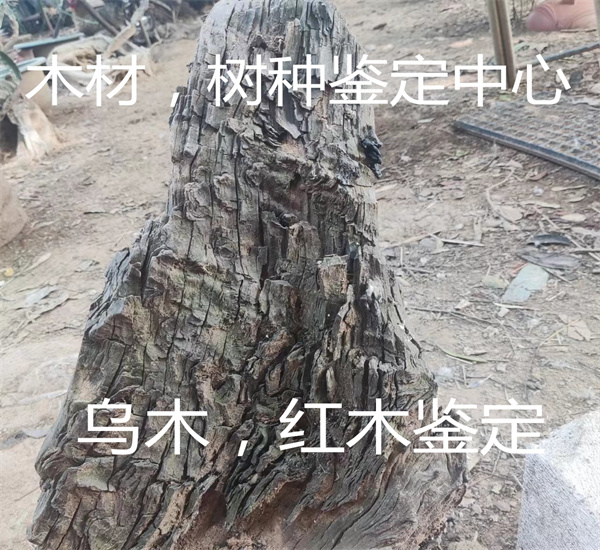 红酸枝木材质鉴定 红木家具树种检测