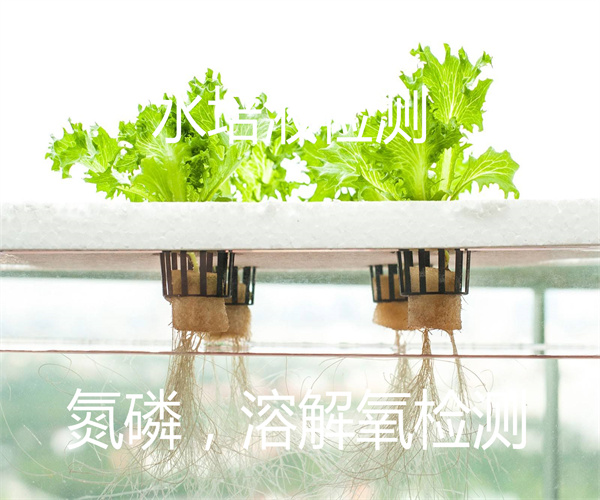 水培营养液检测 氨氮检测