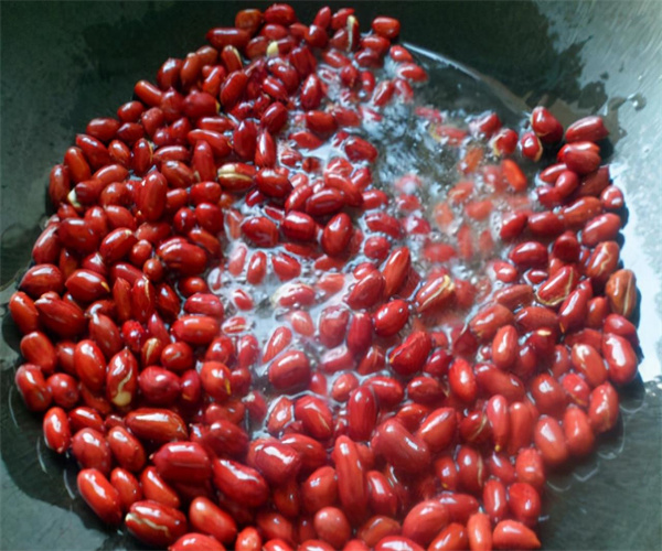 熟制豆类农药残留检测 豆类产品应用成分检测