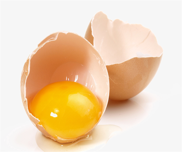 蛋黄质量检测报告 蛋黄蛋白质成分检测