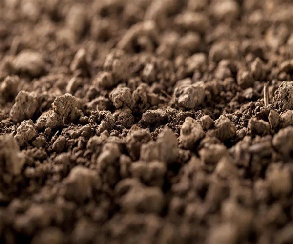 土壤有机质含量检测 土壤有效态氮磷钾检测