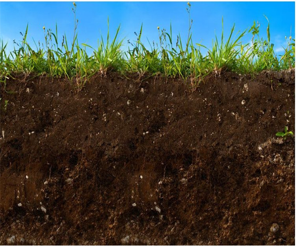 土壤PH值检测 土壤氮磷钾检测