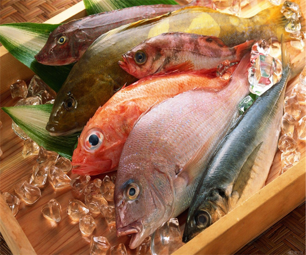 广东省水产品检测哪里能做 鱼虾贝类重金属检测