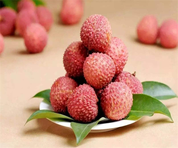 荔枝微生物指标检测 荔枝重金属限量检测
