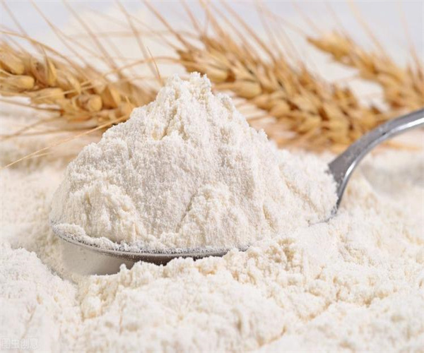 小麦粉蛋白质含量检测 小麦粉微生物检测多少钱